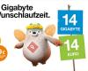 3 Best Partner Bad Ischl