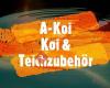 A-Koi Karl Wiesbauer - Koi & Teichzubehör / Shop