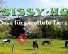 A-Sissy-Hof