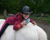 Abenteuer Pony