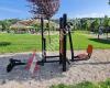 Aktiv & Fit Park Weisskirchen