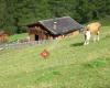 Almhütte Polier Kasa