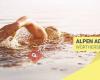 Alpen Adria Swim Cup