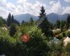 Alpenferienpark Reisach