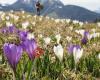 Alpenhof Wildschönau