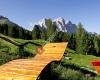 Alpine Pearls