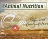 Anco Animal Nutrition Competence GmbH