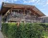 Apartment Hüttenzauber Kirchdorf in Tirol