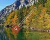 Appartements Pircher