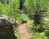 ARRA 3D-Bogensportparcours Harmanschlag
