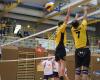 ATSV SONICA St. Martin / Traun - Volleyball