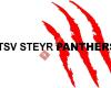 Atsv Steyr Panthers Eishockey