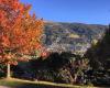 Ausblick Appartements