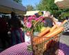 Bauernmarkt Traun