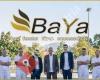 Baya Bau & Fenster GmbH