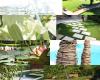 Benczak Gartencreation