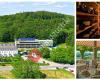 Berghotel Tulbingerkogel