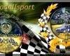 Bergrallye-Fans-NOE Modellsport