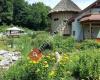 Bienengarten Edelsbach