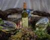 Bio Weingut Friesenhengst