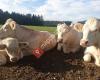 BioJungrind Familie Nimmervoll