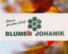 Blumen Johanik