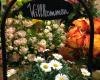 Blumen Klepsch