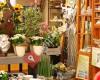 Blumenecke Stangl