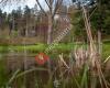 Botanischer Garten Frankenburg