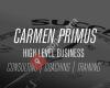 Carmen Primus High level Business
