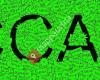 CCA Creativ Club Austria