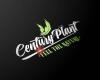 Century Plant Zwettl