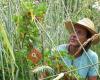 Christoff Schneider & Team Permakulturschule Permaculture-School