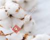 Cotton Originals