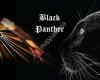 DC Black Panther
