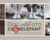 Design & Foto cornelefant