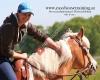 easyhorsetraining.at