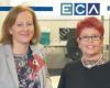 ECA Haingartner & Pfnadschek Steuerberatung GmbH