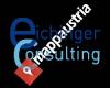 Eichinger Consulting, Aglae Eichinger