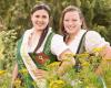 Erdäpfelfest Geras