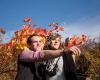FAMILIEN-WEINGUT SCHWEIGER