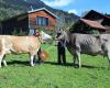Familienbetrieb Stachniss