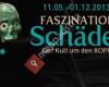 Faszination Schädel