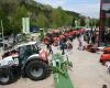 Fischer Landtechnik und KFZ KG