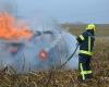 Freiwillige Feuerwehr Suben