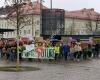 Fridays for Future Klagenfurt