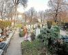 Friedhof Wien Aspern