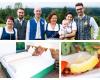 Gasthof & Hotel/Pension Aichingerwirt
