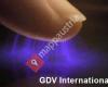 GDV International Dornbierer - Bio-Well