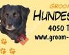 Groom&Care - Hundesalon Sandra Quereser